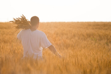 A man farmer holds golden ears of wheat and stands against the background of a ripening field. The concept of planting and harvesting a rich harvest. Rural landscape at sunset.