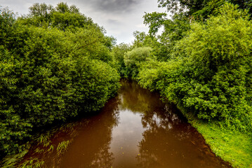 Fototapeta na wymiar oste river amidst green trees