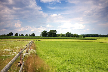 Obraz premium scenic view of fence in the fields