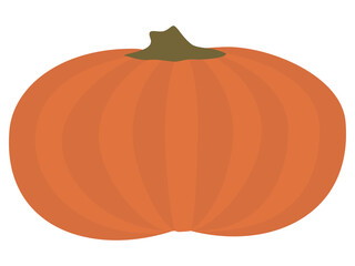 Pumpkin Vector illustration. Gourd For Thanksgiving Day or Halloween design. Isolated on white background