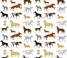 Vector seamless pattern of hand drawn doodle sketch colored dog isolated on white background