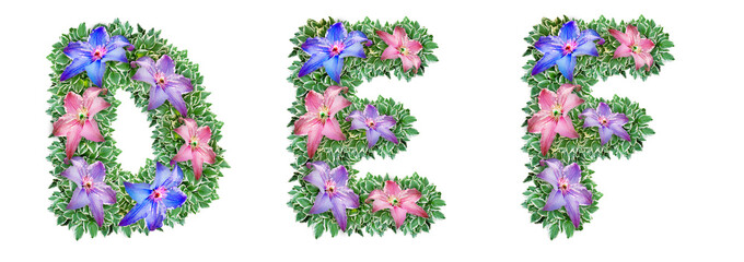 The letters D, E, F are made of Clematis flowers