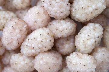 white ripe mulberry