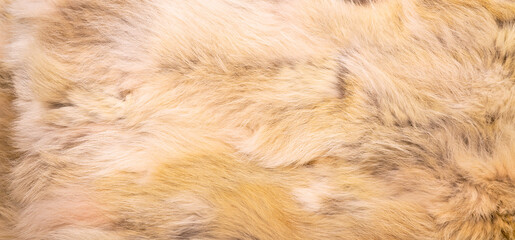 Natural fur texture, luxury outerwear for women fashion