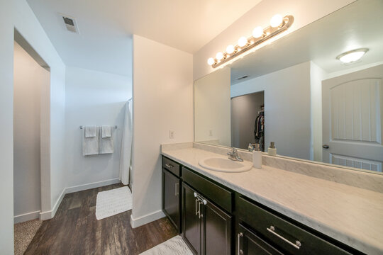 Large master bathroom with vanity unit and reach-in closet