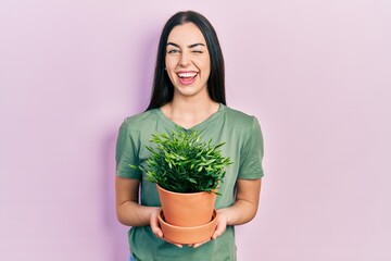 Beautiful woman with blue eyes holding green plant pot winking looking at the camera with sexy...
