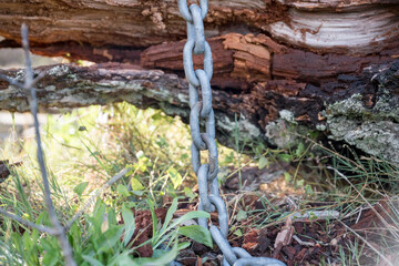 Selective focus of a vertically hanging metal chain