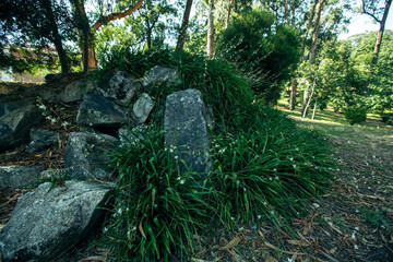 Stones In the Park of Sao Roque in the eastern part of the city of Porto, Portugal.