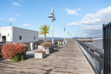Dock on Tacoma bay in Washington with plants and lamp post