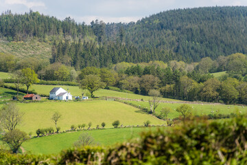 View of green trees, fields, and a small white house in the middle in the countryside of Wales - Powered by Adobe