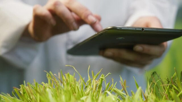 Professional gardener in white gown checking grass quality, and typing on gadget tablet, touching green sedge leaves with hand on lawn. Planting business and farming concept.