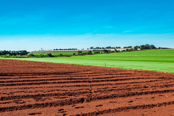 Campo de verde com grama e céu azul