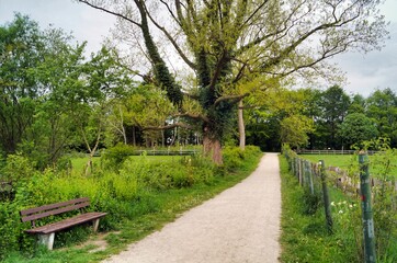 Country dirt road 