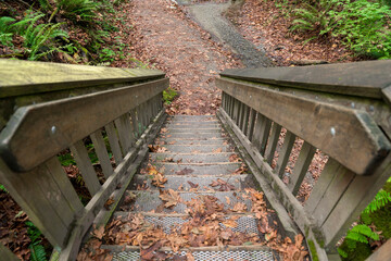 Wooden staircase with metal steps and dry leaves at Tacoma, Washington