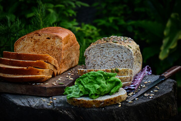 healthy eating with multigrain bread