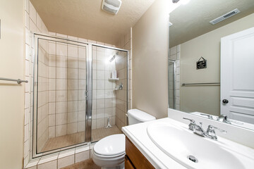 Bathroom interior with vanity sink and shower stall