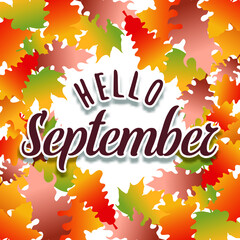 Hand drawn typography lettering phrase Hello September