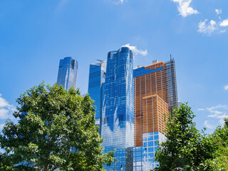 Looking up some skyscrapper in New York City from Habitat Garden at Hudson River Park