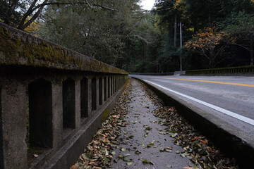 Fototapeta premium railway in the forest