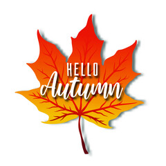 Vector background with hand lettering Hello autumn and leaves