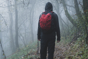 An atmospheric concept. Of a hiker with a rucksack, back to camera. standing in a forest on a cold, foggy autumn day. UK