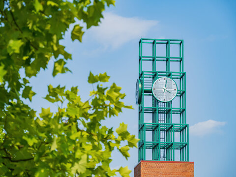 Sunny View Of The Famous Binghamton University