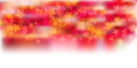 紅葉　もみじ　秋　背景