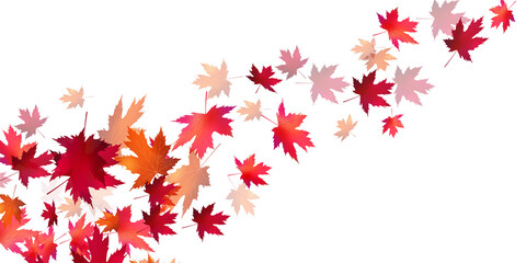 紅葉　もみじ　秋　背景