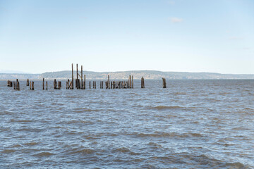 Wooden poles standing in the sea at Tacoma in Washington