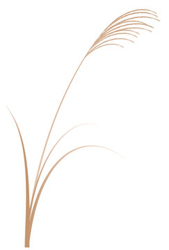 3 671 Best 十五夜 Images Stock Photos Vectors Adobe Stock