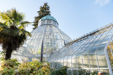 Fototapeta na wymiar Large polycarbonate community greenhouse at Tacoma, Washington