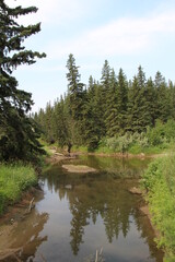 Summer On Whitemud Creek, Whitemud Park, Edmonton, Alberta