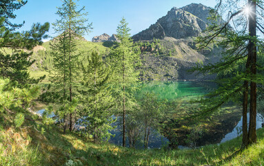 Fototapeta na wymiar Wild lake in the Altai mountains on a summer morning, shining sun