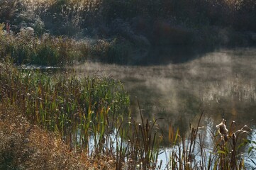 霧が発生する晩秋の朝の池
