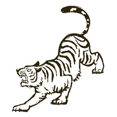 Illustration of a ferocious white tiger. Vector illustration on white background.