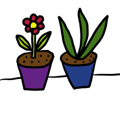 花と観葉植物の鉢植え