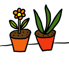 花と観葉植物の鉢植え