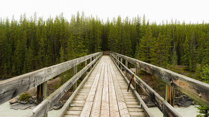 Wood Bridge Forest Nature Canada Rocky Mountains