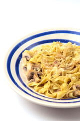 Pasta Penne with chicken and mushroom under parmesan cheese served on a plate over white background