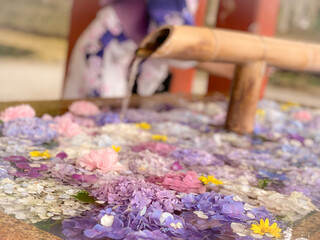 花手水（色とりどりのあじさい）
