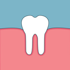 white healthy tooth in the gum on a blue background