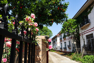 Alley in the street