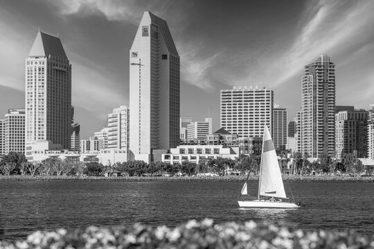 Fototapeta Downtown San Diego city skyline cityscape of USA