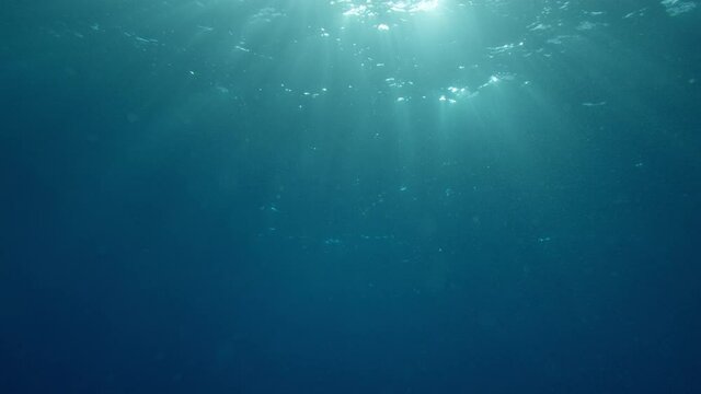 Underwater Godrays. Sun beams from beneath the Ocean surface in 4K. Liight shafts VFX element background. Diving vacation holidays.