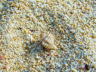 沖縄県島尻郡座間味村慶良間諸島阿嘉島の風景