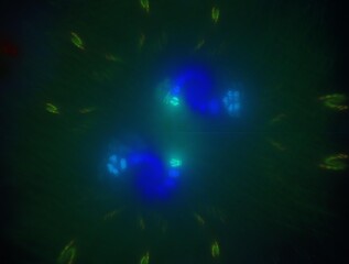 Imaginatory fractal background generated Image