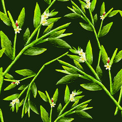 Vector pattern with a floral theme. Background with leaves and flowers. The backdrop for greeting cards, posters, banners, and placards.