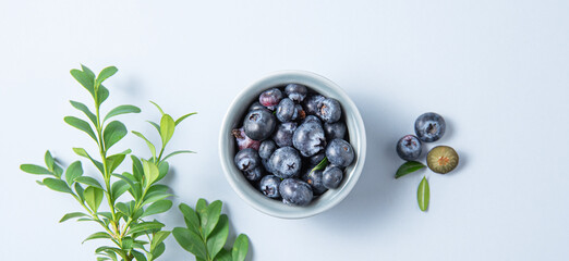 Concept flat lay. Sweet fresh blueberries in a bowl with a green branch on a blue background. Horizontal orientation. Top view and copy space