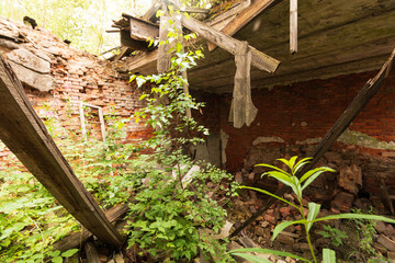 the remains of an abandoned building