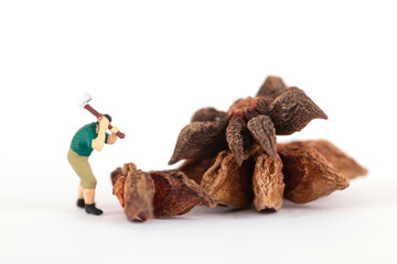 Miniature worker model chopped anise aniseed with an axe